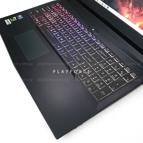 MX15 Pro (i7-8750H, GTX 1060, 8GB, 1TB+250GB SSD, 15-inch)