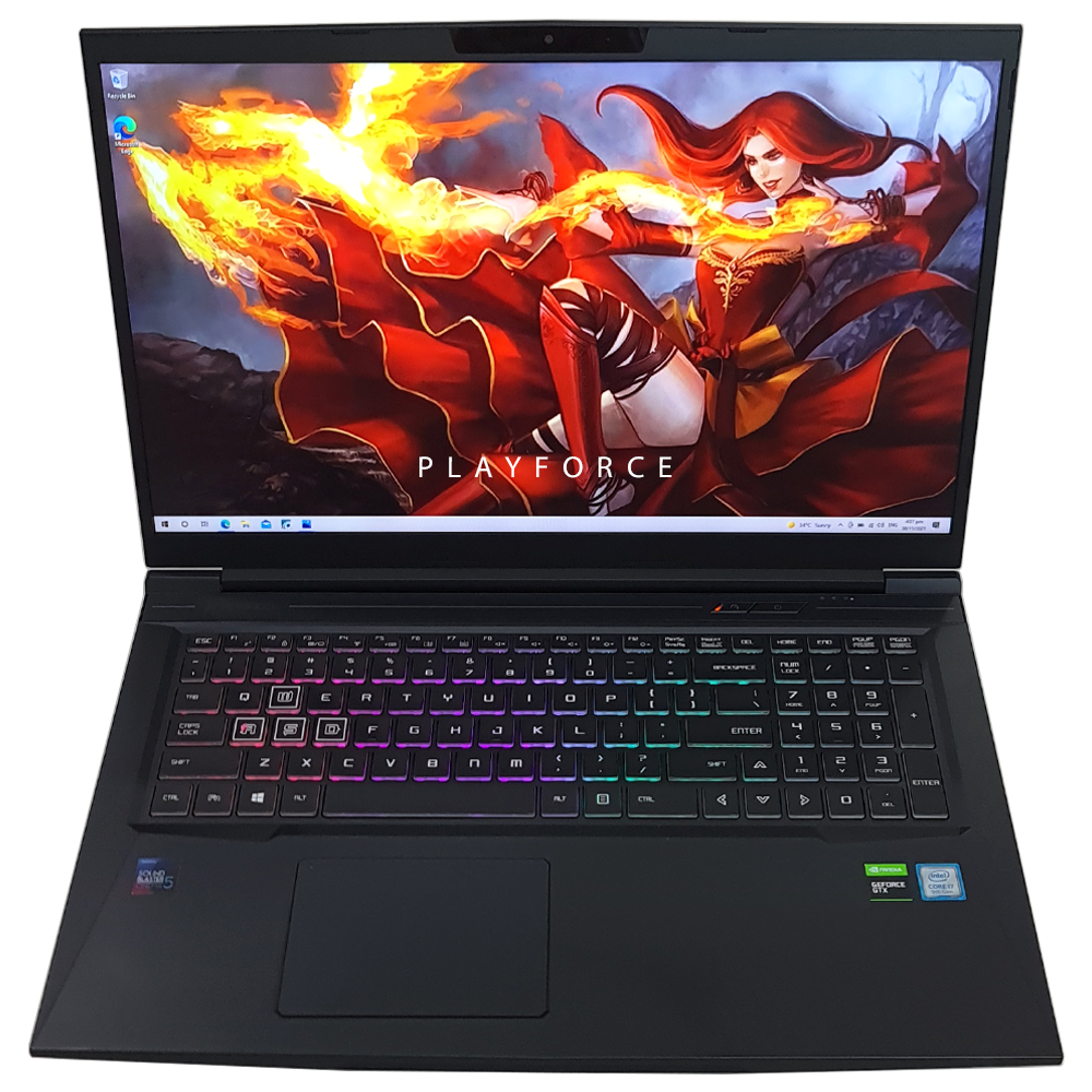 Apex 17R Lite (i7-9750H, GTX 1660TI, 16GB, 512GB SSD, 17-inch)